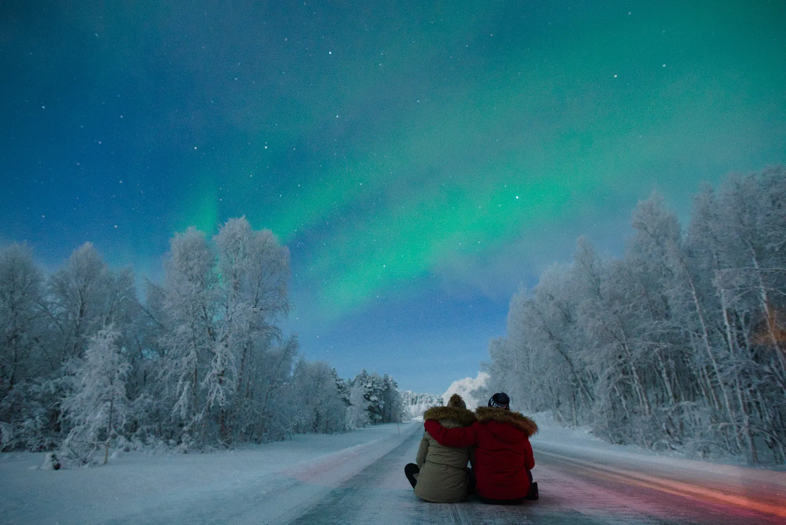 Guests on a frosted forest road under the aurora